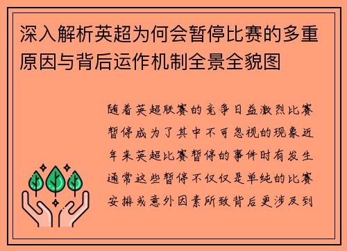 深入解析英超为何会暂停比赛的多重原因与背后运作机制全景全貌图